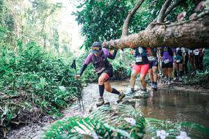 BIB: 
                            <button type="button" onclick="openModal(25465916)" class="btn btn-primary btn-sm float-right btn-popup" data-toggle="modal" data-target=".modal-high-quality">
                        <i class="fas fa-shopping-cart"></i> Add to Cart
                    </button>
                                            <button type="button" onclick="isThisMe(25465916, true)" class="btn btn-success btn-sm float-right btn-popup btn-isme hidden" data-toggle="tooltip" data-placement="bottom" title="นี่คือรูปของคุณใช่ไหม คลิกที่นี่เพื่อเอาเข้าอัลบั้ม">
                        <i class="fas fa-plus"></i> Add to album
                    </button>
                    <button type="button" onclick="isThisMe(25465916, false)" class="btn btn-warning btn-sm float-right btn-popup btn-isnotme hidden">
                        <i class="fas fa-ban"></i> Remove from album
                    </button>